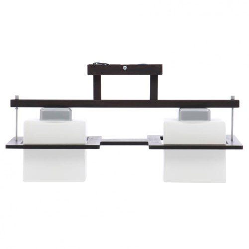 Mennyezeti lámpa Delta 2 x E27