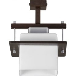 Mennyezeti lámpa Delta 1x E27