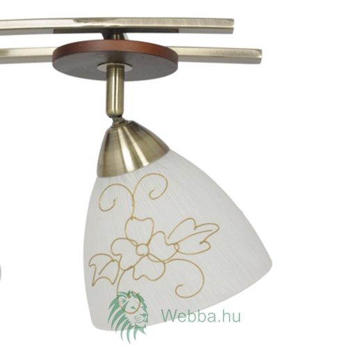 Mennyezeti lámpa Delhi 4x E14