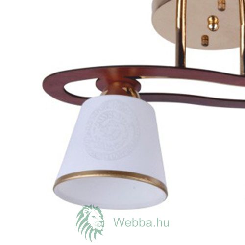 Mennyezeti lámpa Cup Ly 3076 2 x E27