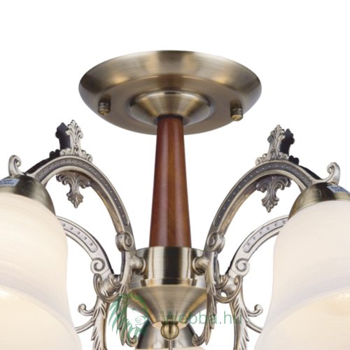 Mennyezeti lámpa Anka Ly-3233 5xE27 