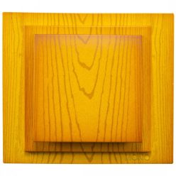 Switch Mono Electric Larissa Eiche I