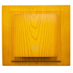 Switch Mono Electric Larissa Eiche III