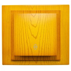 Switch Mono Electric Larissa Eiche II