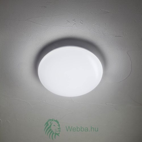 Smart LED mennyezeti lámpa Tortilla, wi-fi, 24W, 2098lm