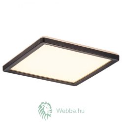 Intelligens LED mennyezeti lámpa Inverness, 15W, 1190lm