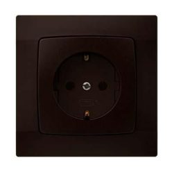 GEERDETER STECKER VOLLSTÄNDIGE BRAUN BESCHÄDIGUNG