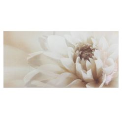 Dekorfliesen Glasgow Marengo grau glänzend, 25 x 50 cm