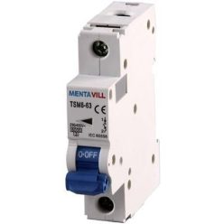 KISMEGSZAKÍTÓ 1P C 16A 6KA TSM29