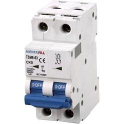 KISMEGSZAKÍTÓ 2P C 16A 6KA TSM40