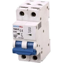 KISMEGSZAKÍTÓ 2P C 20A 6KA TSM41