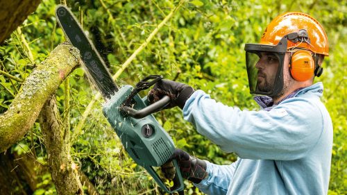 Elektro-Kettensäge 35cm 1800W 4Kg Bosch