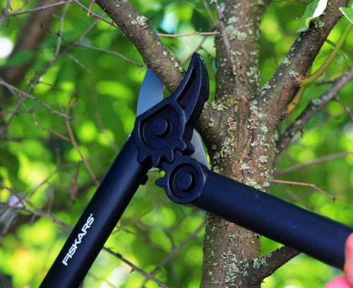 Gartenschere zum Schneiden von Ästen Fiskars