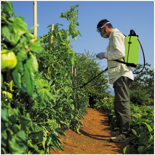 DiMartino Handsprüher, 15 L