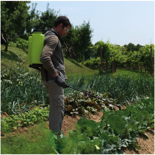 DiMartino Handsprüher, 15 L