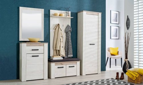 Schrank 685 x 365 x 1950 mm 2C