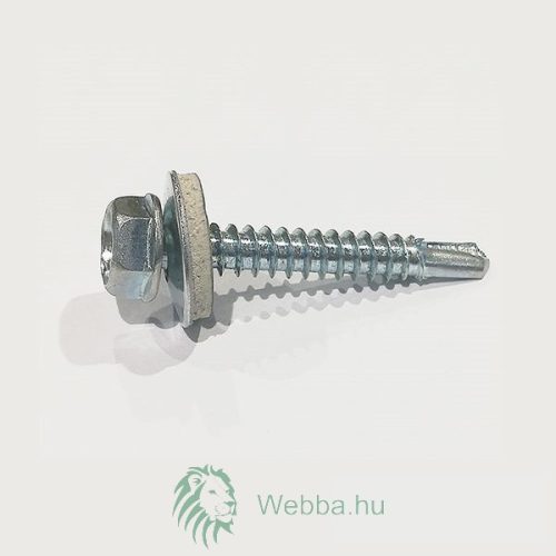 ÖNMETSZŐ CSAVAR 4,8X19